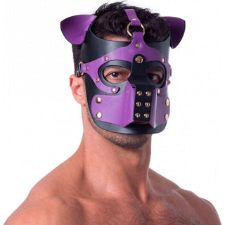 665 - Bondage Pup Hood - Black/Purple - Circus of Books