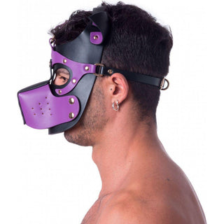 665 - Bondage Pup Hood - Black/Purple - Circus of Books