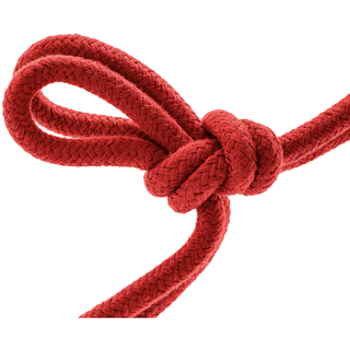 Blush Temptasia - Bondage Rope 32ft - Red - Circus of Books