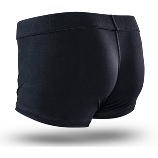 Blush Temptasia - Harness Brief - Small - Black - Circus of Books