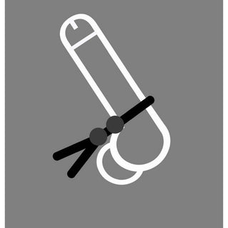 Cock Leash Double - Circus of Books