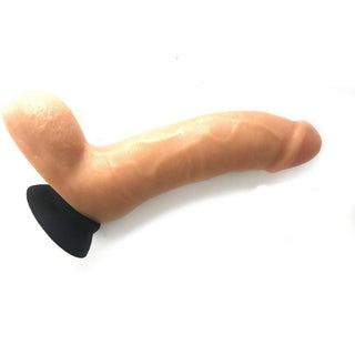 Jocks Adam Dildo - Circus of Books