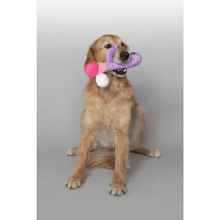 Scruffy - Bunny Vanderpup (Rabbit) - Circus of Books