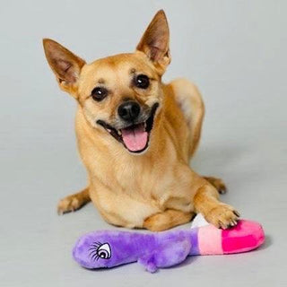 Scruffy - Bunny Vanderpup (Rabbit) - Circus of Books