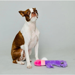 Scruffy - Bunny Vanderpup (Rabbit) - Circus of Books