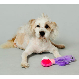 Scruffy - Bunny Vanderpup (Rabbit) - Circus of Books