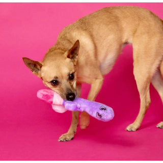 Scruffy - Bunny Vanderpup (Rabbit) - Circus of Books