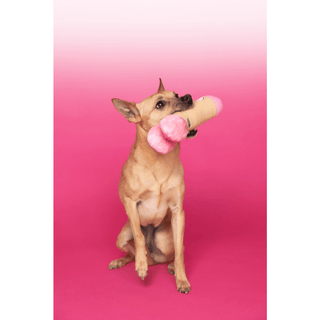 Scruffy - Peter Woofington (Dildo) - Circus of Books