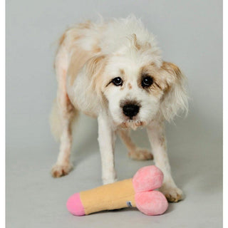 Scruffy - Peter Woofington (Dildo) - Circus of Books