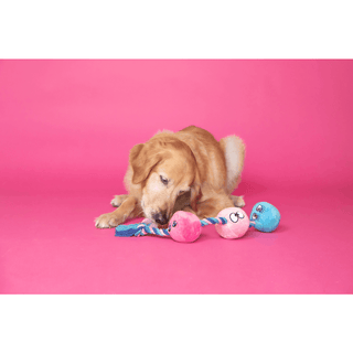 Scruffy - Tug Buttons (Anal Balls) - Circus of Books