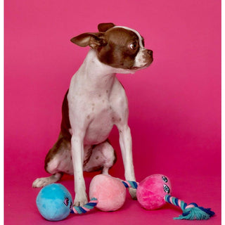 Scruffy - Tug Buttons (Anal Balls) - Circus of Books