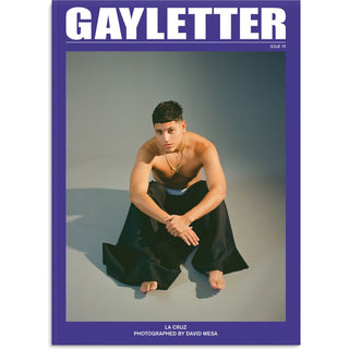 GAYLETTER Issue 19