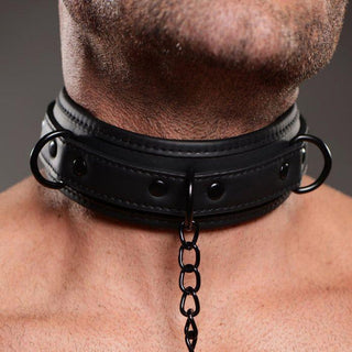 Master Series - Collared Temptress Collar With Nipple Clamps - Circus of Books