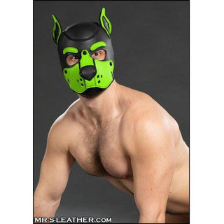 Mr S Leather - Neoprene K9 Hood - Lime - Medium - Circus of Books
