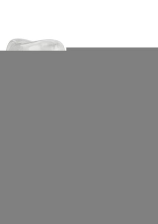 Performance Maxx Extension 6.5in - Clear
