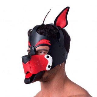 Playful Pup Hood Black Red White - Circus of Books