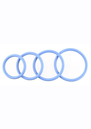 Rubber O-Ring Assorted Sizes (4 pack) - Plum