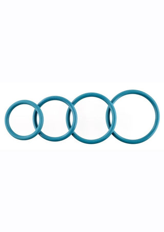 Rubber O-Ring Assorted Sizes (4 pack) - Plum