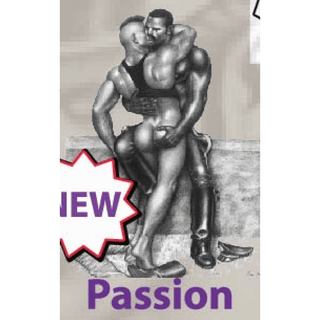 Tom of Finland Passion T-Shirt - Black - Circus of Books