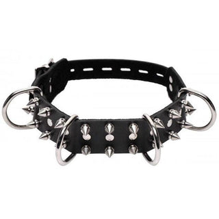 Black Leather Spiked Dog Collar - Circus of Books