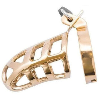 Brutal Gold Chastity Cage - Circus of Books