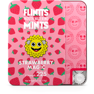 FLINTT MINTS - Strawberry Magic - Circus of Books