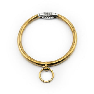 Gold Steel Collar with Combination Lock - Circus of Books