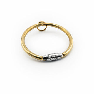 Gold Steel Collar with Combination Lock - Circus of Books