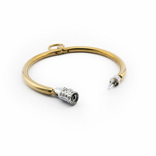Gold Steel Collar with Combination Lock - Circus of Books