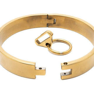 Golden Steel Slave Collar with O - Ring - Circus of Books