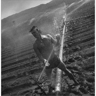 Male of the Species: Four Decades of Photography - Circus of Books