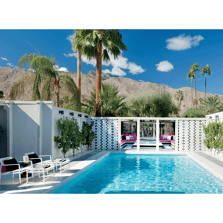 Palm Springs: A Modernist Paradise - Circus of Books