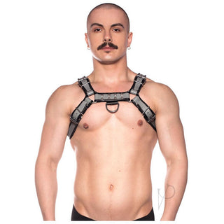 Prowler Red - Bull Harness Grey - Circus of Books