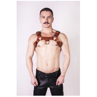 Prowler Red - Butch Harness - Brown / Brass - Circus of Books
