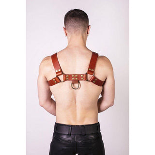 Prowler Red - Butch Harness - Brown / Brass - Circus of Books