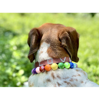 Scarlett Dog - Rainbow Pride Necklace - Circus of Books
