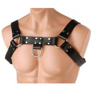 Strict Leather - English Bull Dog Harness - Circus of Books