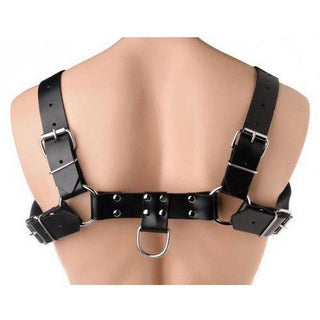 Strict Leather - English Bull Dog Harness - Circus of Books