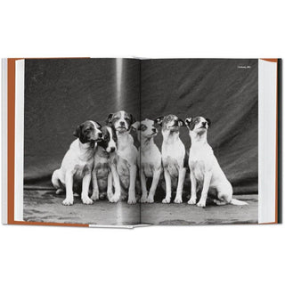 The Dog in Photography 1839-Today - Circus of Books