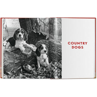 Walter Chandoha. Dogs. Photographs 1941-1991 - Circus of Books